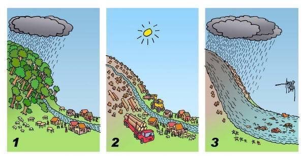 #FelizDomingo tomemos conciencia!