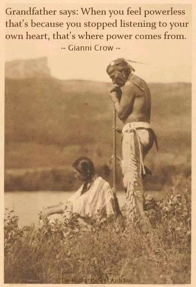 froglegend.com/nativej?pr=fre…
.
.
#nativepride #powwow