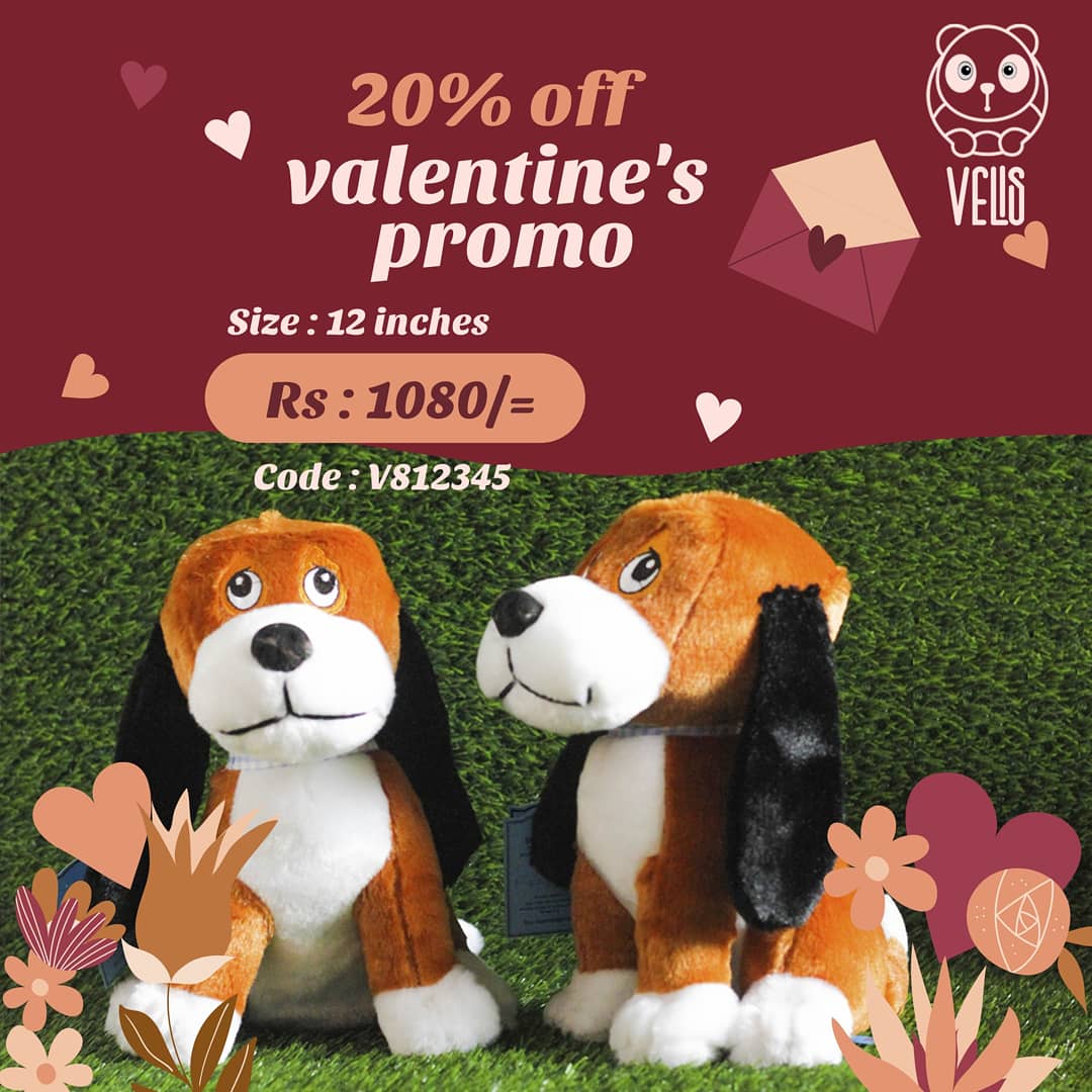 Velisteddy's tweet photo. Get up to 20% off during the Season of Love ❤ sale.
Velis Online Store
#velis #velisteddy #gift #teddybear #love #velentinesday https://t.co/LAcZOpYev1