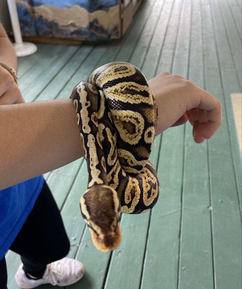 Sandoway Discovery Center tweet media