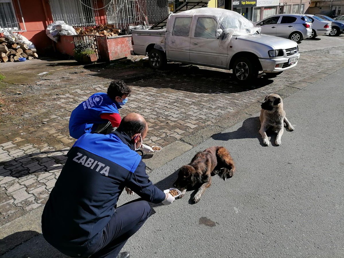 Sokağa çıkma kısıtlaması sebebiyle beslenmede zorluk çeken patili dostlarımızı unutmuyoruz. 

Sizler de soğuk kış günlerinde evlerinizin önüne bir kap yemek bir kap su bırakarak patili dostlarımızın beslenmelerine destek olabilirsiniz. 🐾🤗
#GönüllülükKulübü 
#SevgiveMerhametTimi