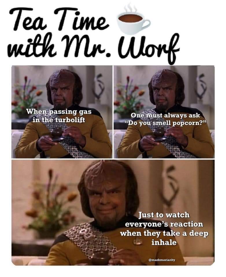 IntrepidXO's tweet image. 