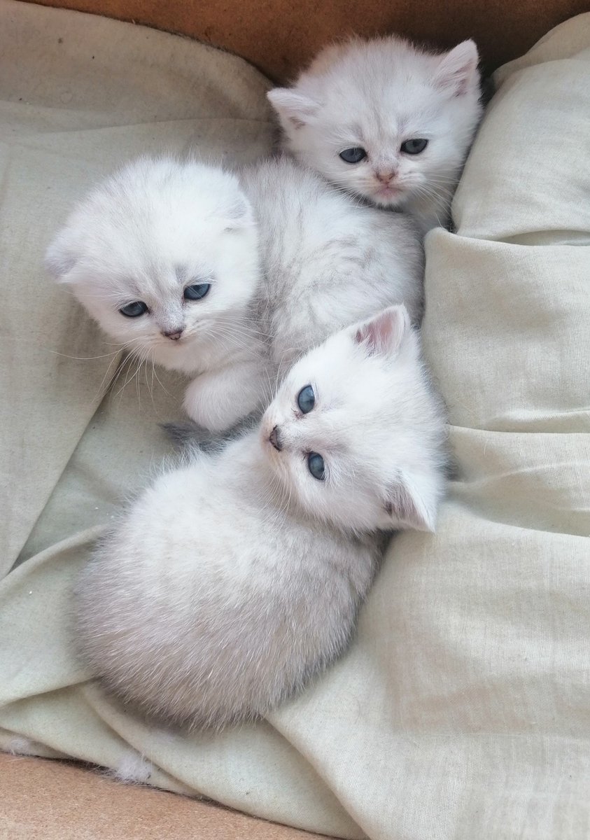 Acıların çocuğu bakışları