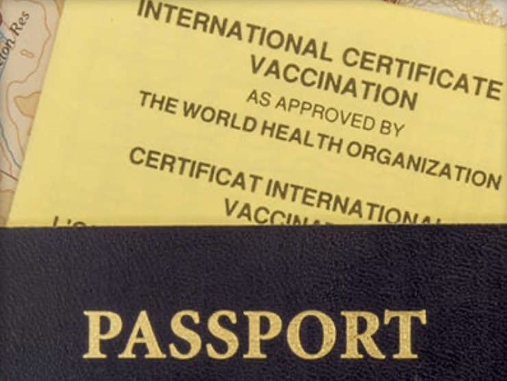 Use in international travel brings in international diplomacy, trade deals, right of asylum, and has to be clear why the existing vaccination certificate processes used for yellow fever are inadequate