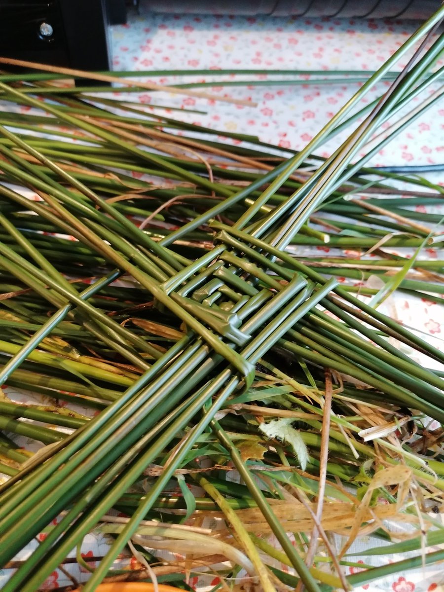 capeclearbnb's tweet photo. Crois Bhride. Tomorrow is first day of spring and also st. Brigit's Day so I made a cross in honour of the occasion! Vid on insta! #StBrigid #LaleBride #springtomorrow #Imbolc21 https://t.co/UgzOvDuYNO https://t.co/m7Ilt40asw