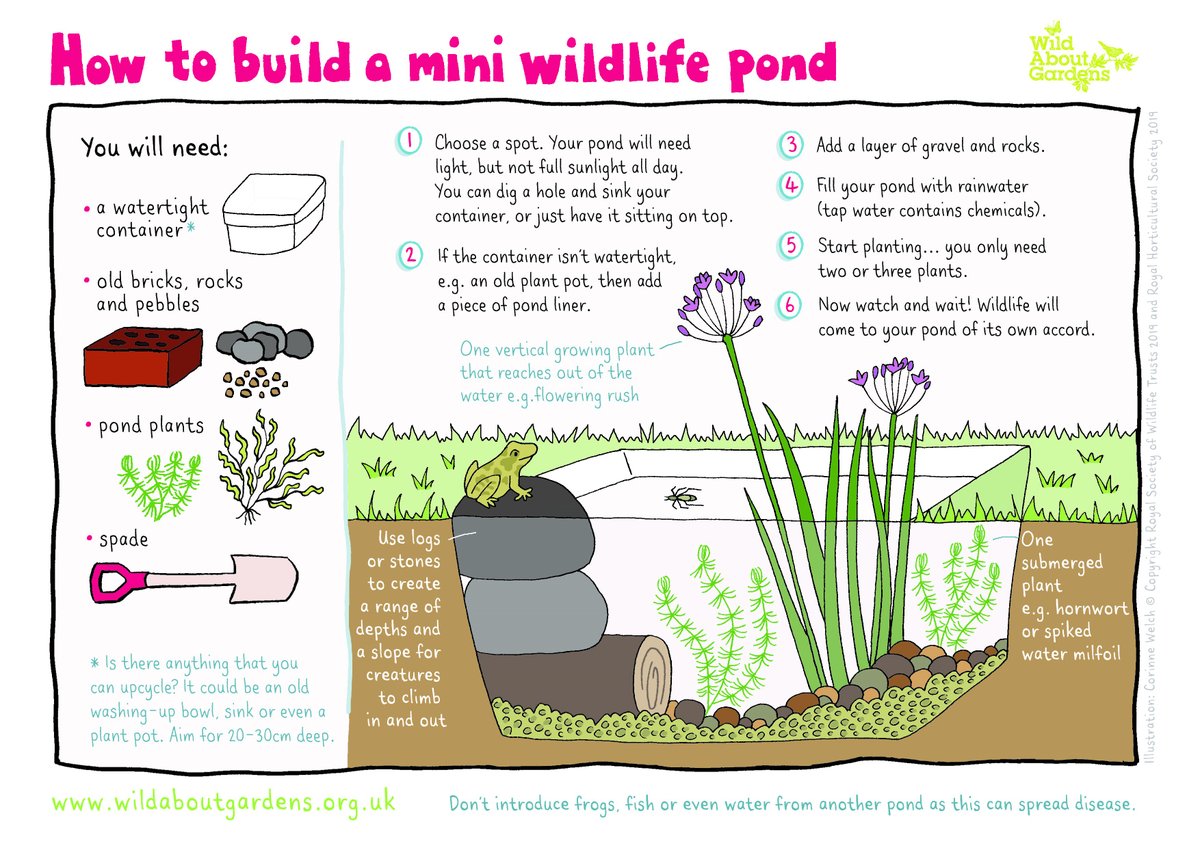 WildlifeTrusts's tweet photo. Ever made one of these?? 🐸💦
We have plenty of wonderful resources for children during lockdown! From creating a mini pond to wildlife quizzes and crafts. Have a browse... 👇
https://t.co/CjW7dHIFQT https://t.co/xDohiYYtGM