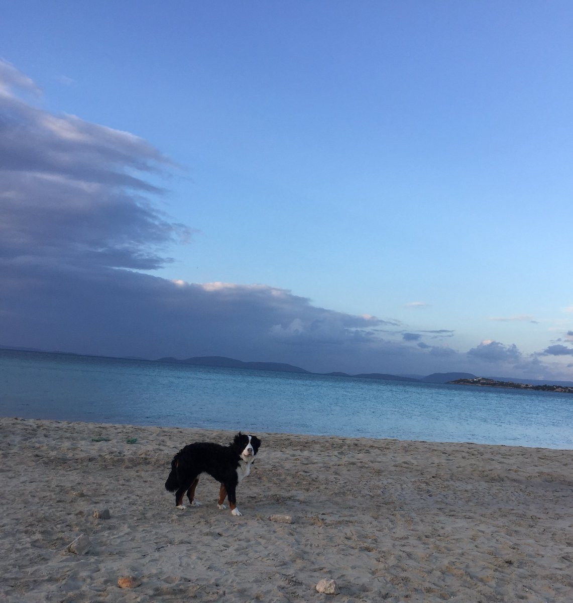 bizim buralarda markete giden yollar