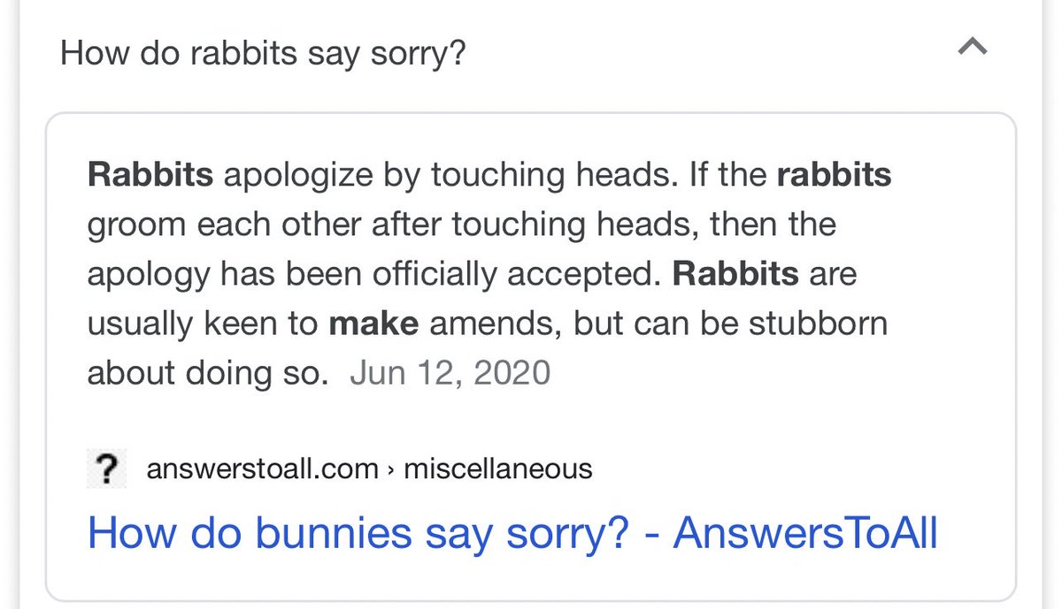 Rabbit pun say sorry ko sape tak nak say sorry