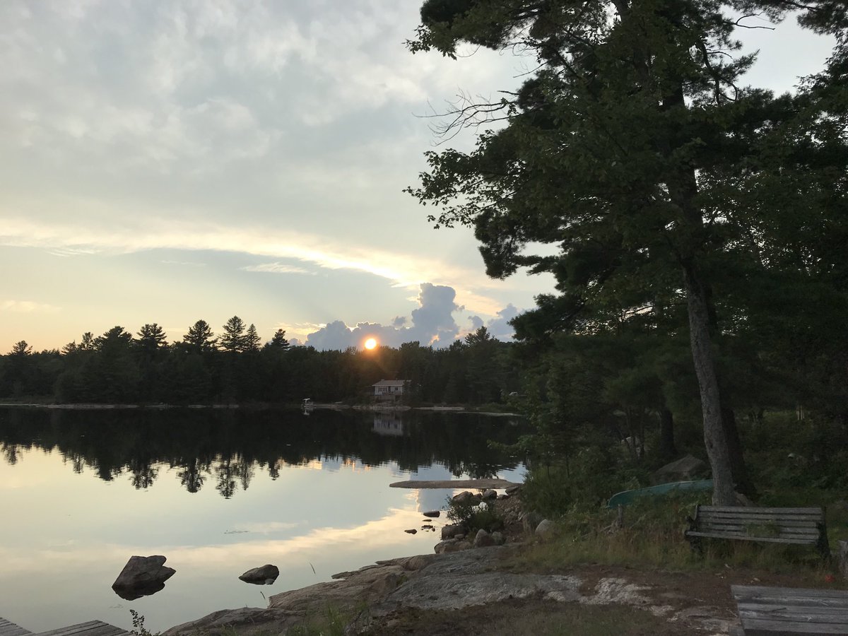 Just to the right is where I’d like the bunkie to go #bunkielife