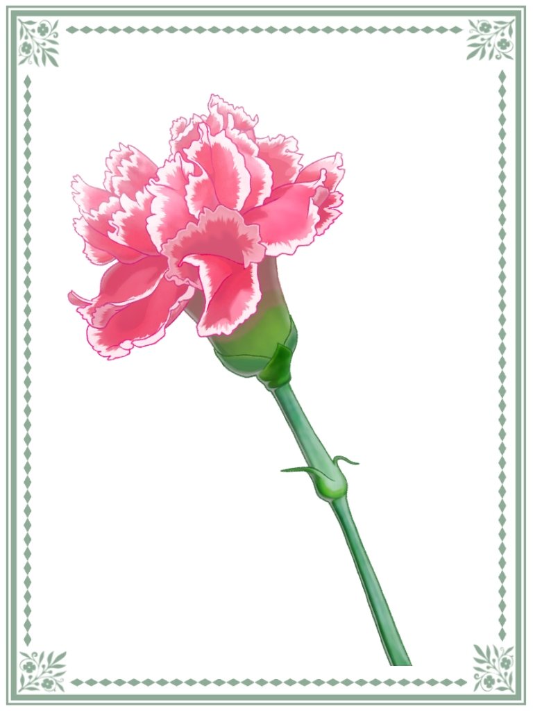 コンプリート カーネーション イラスト フリー アニメ 動画 Youtube