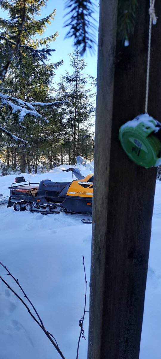 Cachewartung #geocaching #cachen #maintenance