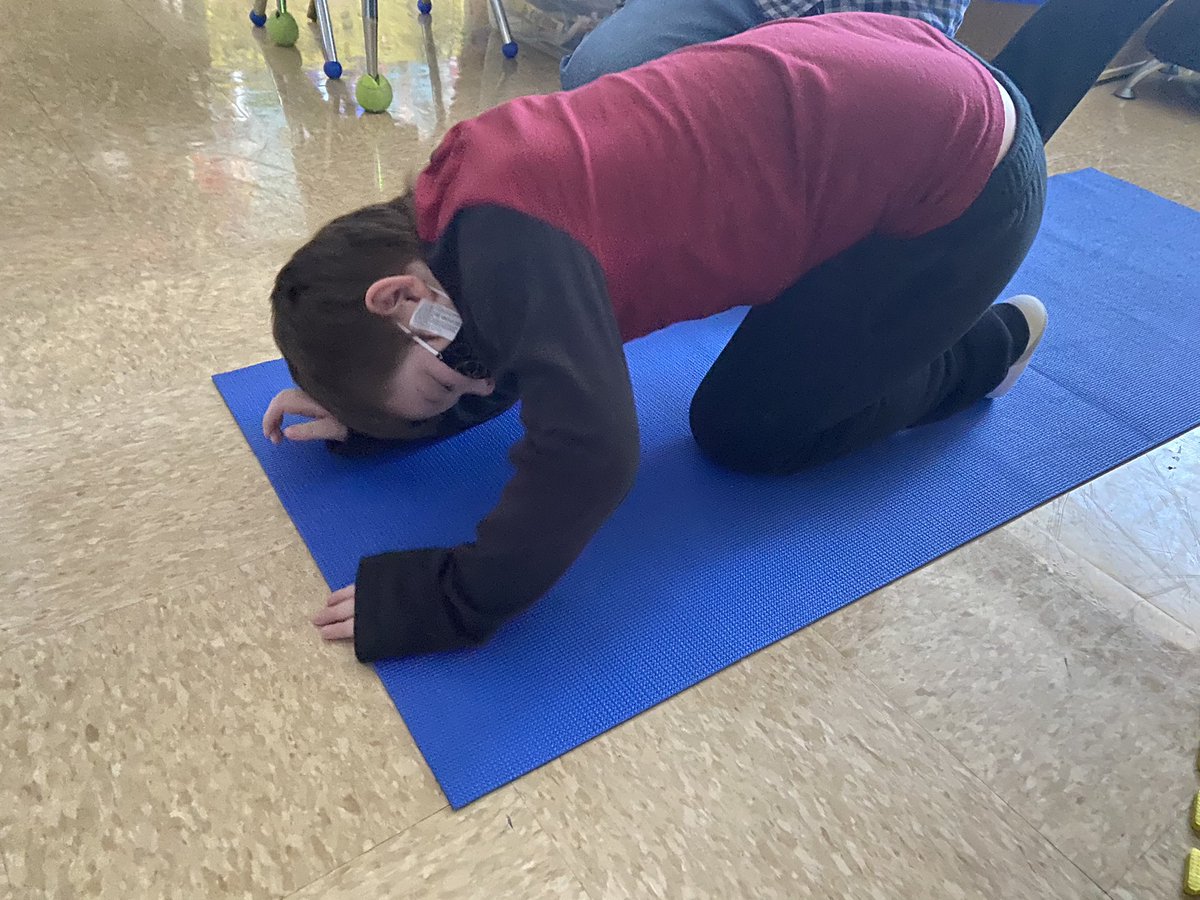 Kelly Curley tweet media