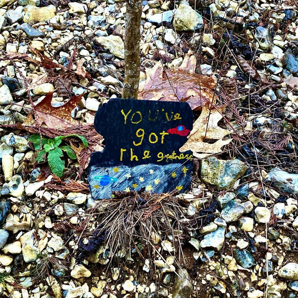 You've got the greatness!

Spotted tucked under a tree in Pottingers Furze woods, outside Mortimer ❤️