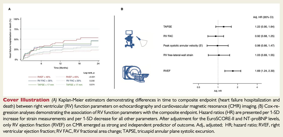 Kardiologie MedUni Wien Forschung (@kardiologiewien) on Twitter photo #RV_dysfunction on #echo is associated with disease severity and prolonged in-hospital stay, while RVEF on #CMR predicts outcome in patients undergoing #TAVR
- analysis by <a href="/m_koschutnik/">Matthias Koschutnik</a>, <a href="/a_kammerlander/">Andreas Kammerlander</a> and <a href="/JMascherbauer/">Julia Mascherbauer</a> in <a href="/ESC_Journals/">European Society of Cardiology Journals</a> CV Imaging
academic.oup.com/ehjcimaging/ad… #RV_dysfunction on #echo is associated with disease severity and prolonged in-hospital stay, while RVEF on #CMR predicts outcome in patients undergoing #TAVR
- analysis by <a href="/m_koschutnik/">Matthias Koschutnik</a>, <a href="/a_kammerlander/">Andreas Kammerlander</a> and <a href="/JMascherbauer/">Julia Mascherbauer</a> in <a href="/ESC_Journals/">European Society of Cardiology Journals</a> CV Imaging
academic.oup.com/ehjcimaging/ad…