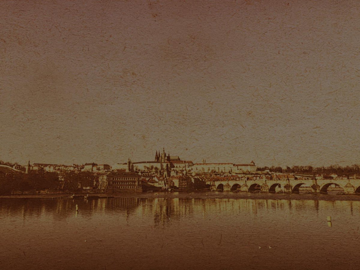 tycotyson's tweet image. 