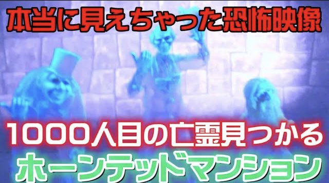 高感度カメラちゃん ディズニー お化け屋敷 としまえん好き 都市伝説好きな人100 フォロバ Amusementpark77 Twitter