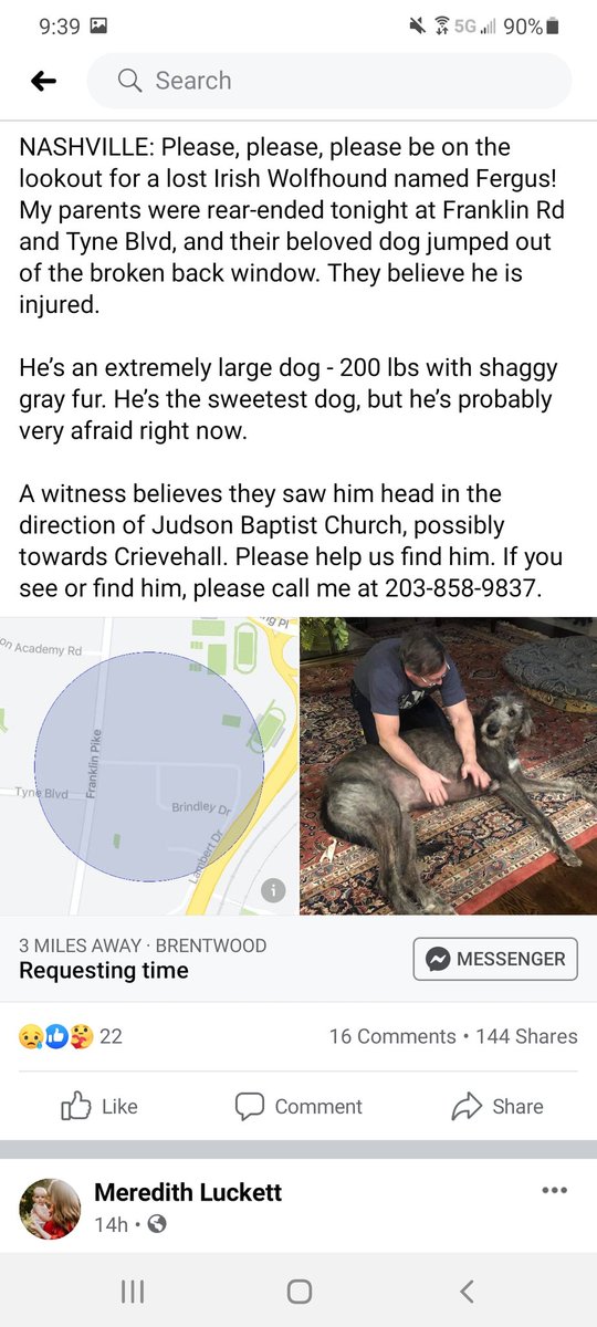KimRathbone's tweet photo. Please #RETWEET Help #FindFergus This happened not far from where I live and work.   If you live in Nashville and have local followers every tweet helps @CharlesEsten @BackHomeLA @JimmyWayne @JackieMarushka  @clarembee @DJ_Shawn_Parr @mrBobbyBones @mirandalambert @DanAndShay https://t.co/m8jievcEBM