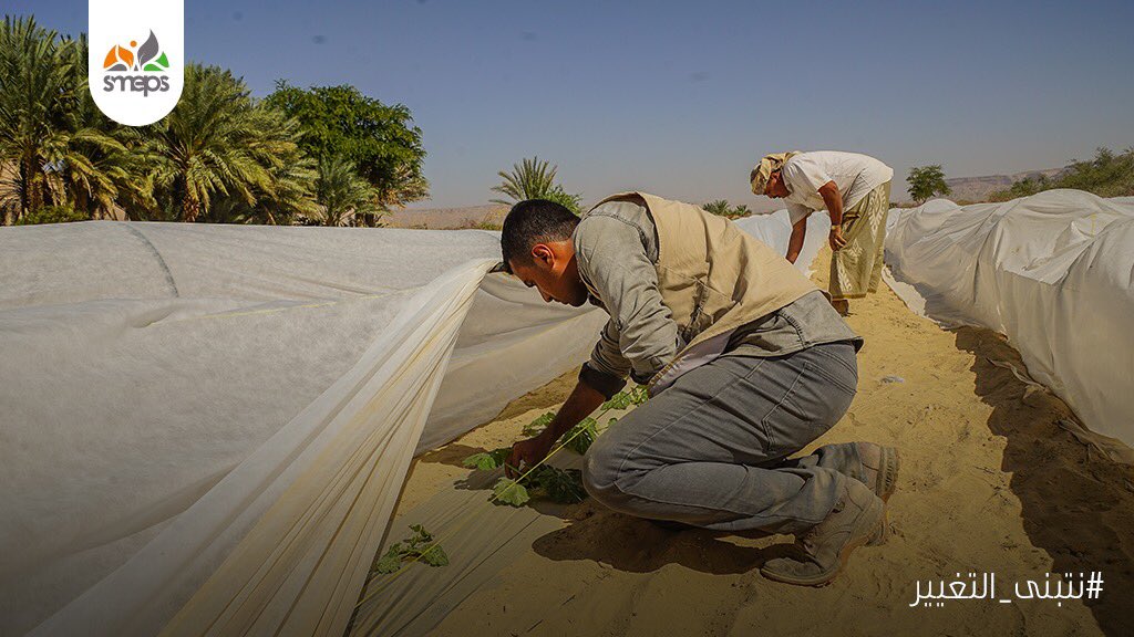 SMEPSYEMEN's tweet photo. #WeEmbraceChange through on field trainings 🌳✊🏼
Once a farmer actually tries applying innovative farming approaches, he notices an improvement in the results with less costs & higher quality💰🔝
Then, he shares his experience with everyone around him & they replicate🗣️
#GoPlaces https://t.co/L6IQNiTwSw