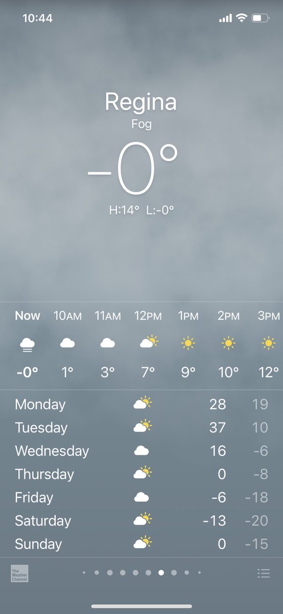 Rootnash tweet media