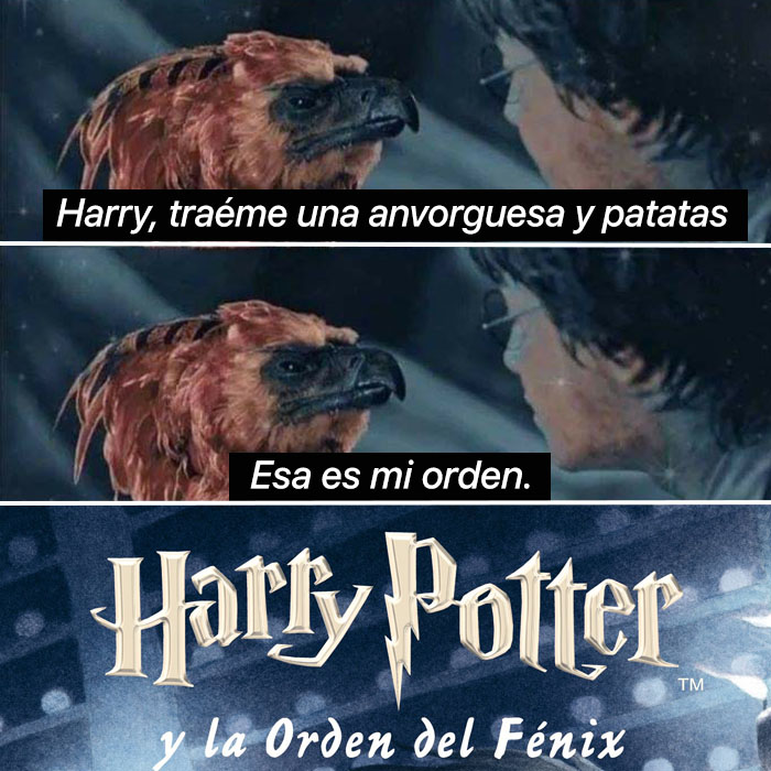 jezucrihto xd tweet media