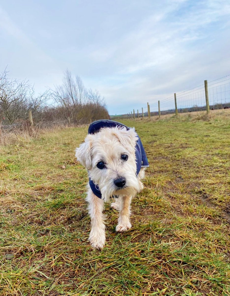 Beckyt18's tweet image. 😊