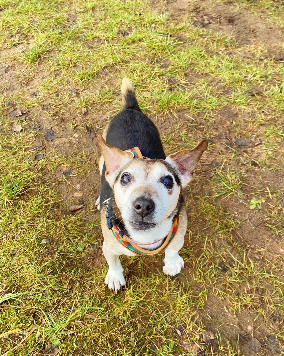 Beckyt18's tweet image. 😊