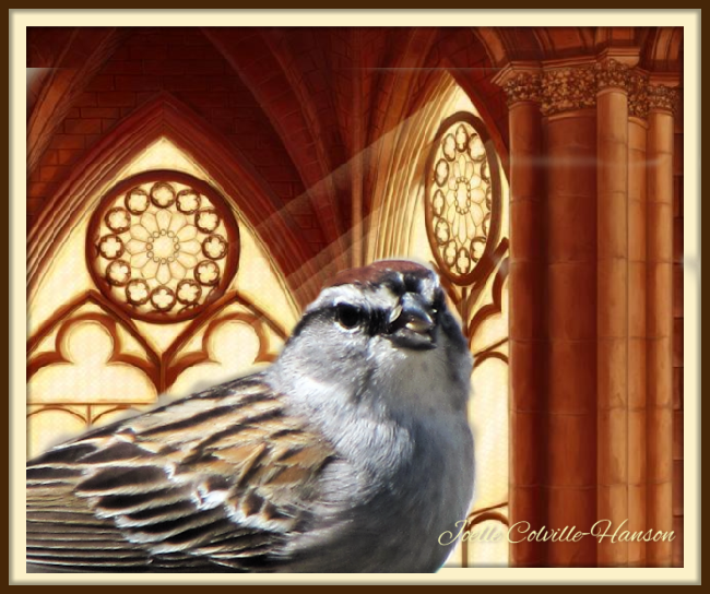 Have you seen our latest news? conta.cc/2Yr1jg9