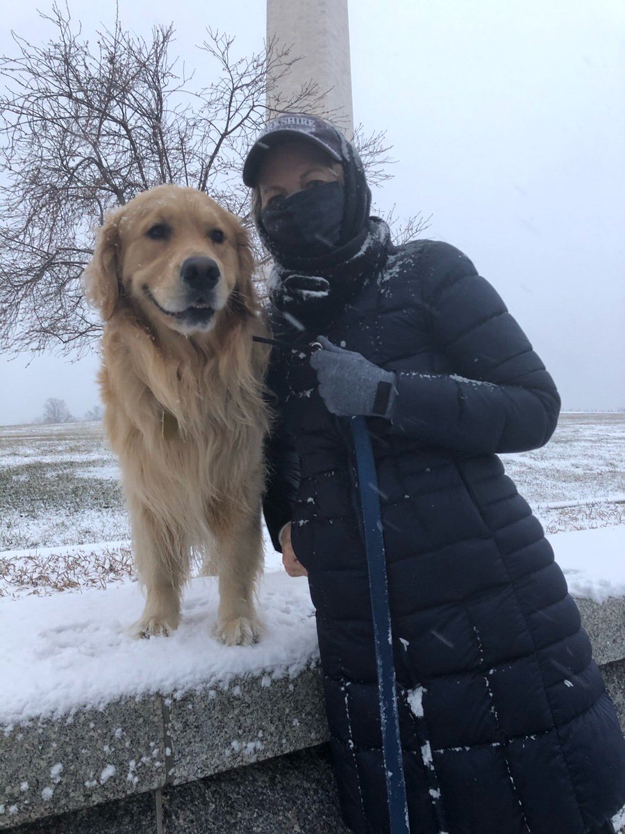 ewarren's tweet photo. It’s snowing ❄️ https://t.co/7vdFLwJtjv