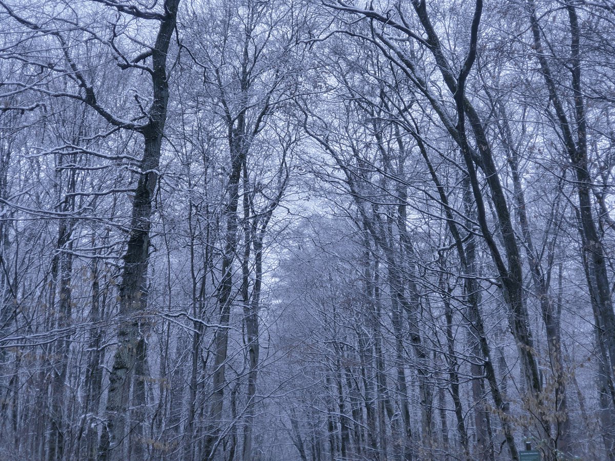 Die letzten Tage des Winters. Es liegt ein wenig Melancholie in der Luft. #WilderWandel #Natur