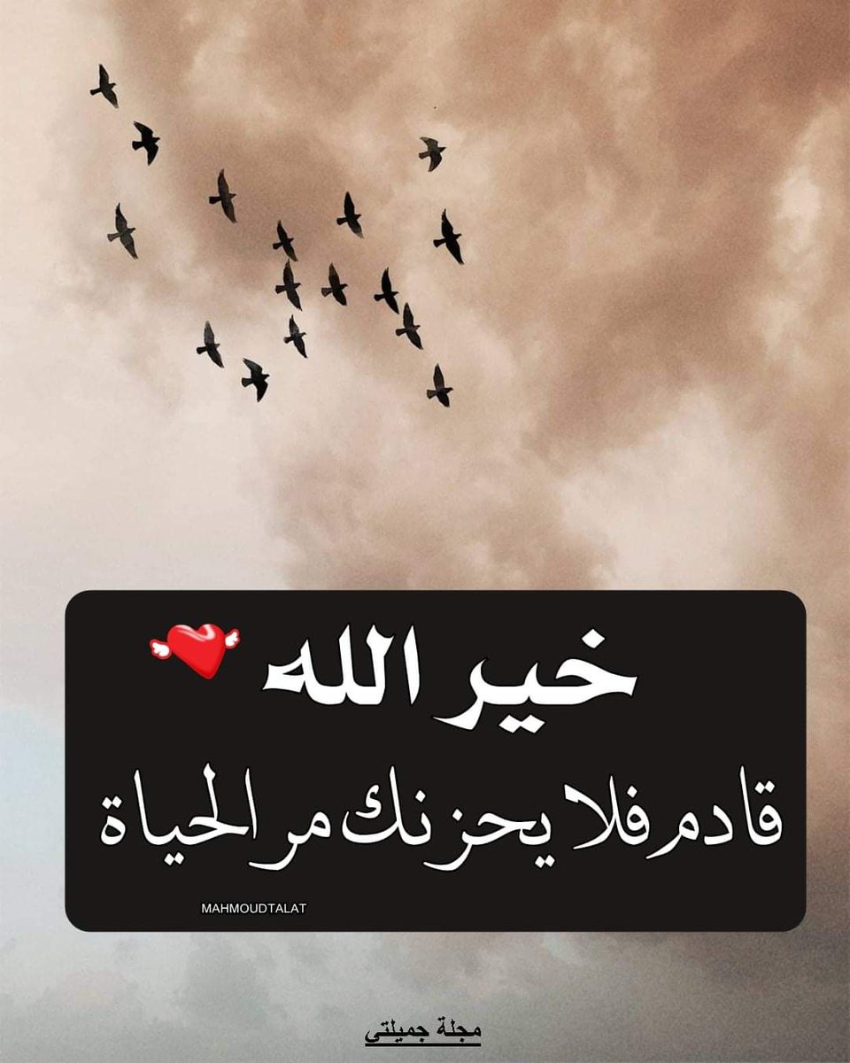 عندما تعيش لتسعد الآخرين سيُبعث الله لك من يعيش ليسعدك، فما جزاء الإحسان إلا الإحسان، كُن جميل الخلق تهواك القلوب.
يارب 💚مساكم سعادة