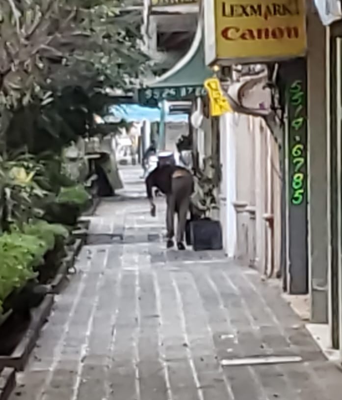 La Colonia Juárez tweet media