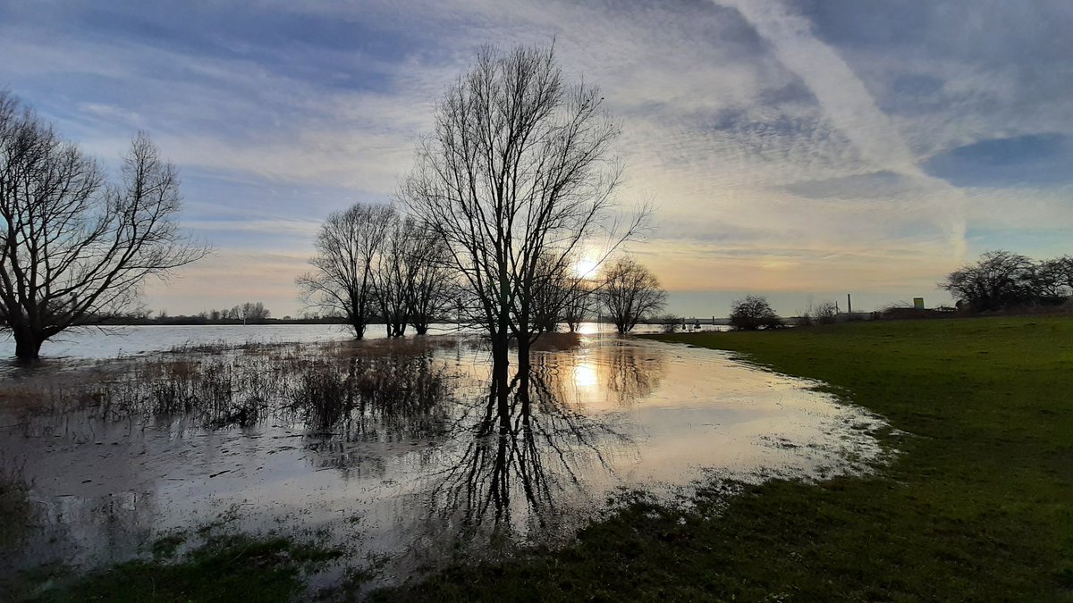 Roy_van_Beek's tweet photo. High water levels in the #LowerRhine. https://t.co/6rT8WedUvt