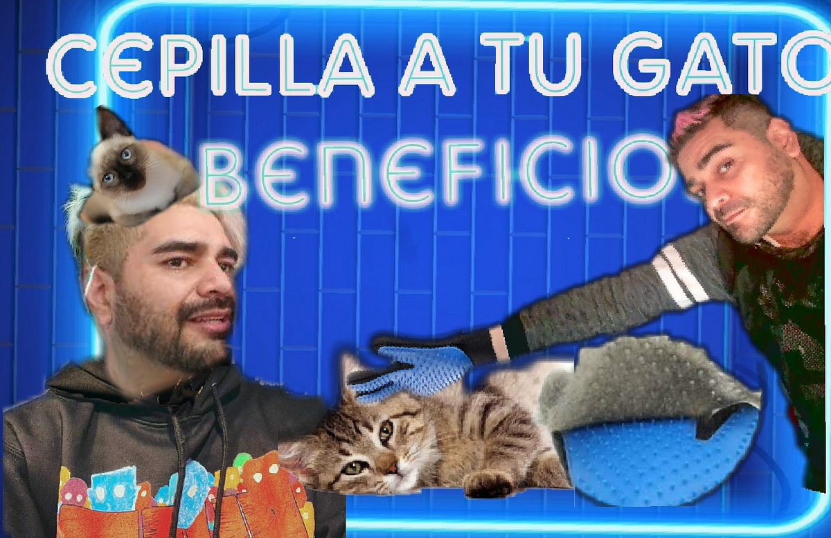 Khallel10's tweet photo. https://t.co/wrsG8xfy4a

Ya casi hoy a partir de las 11:15 AM estará disponible no se lo pierdan por qué hay bonitos consejos sobre el cepillado en día #michis #cats #kittycat #cat #catlover #gatos #youtube no olvides #compartit #share y darle like 🤗❤️ #goodvibes
#goodmorning https://t.co/bOq7mbsiiR