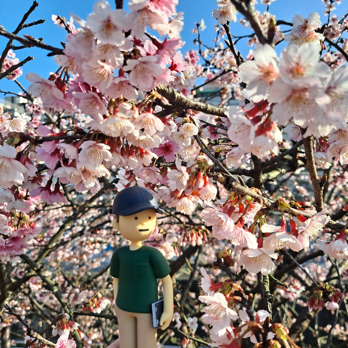 ymeiying's tweet photo. I had a wonderful day with #TinyJoon today. #cherryblossoms @BTS_twt https://t.co/FEjUSKhmoH