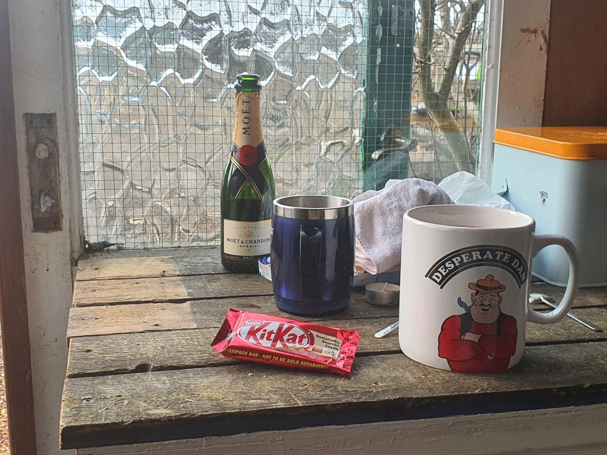 OurAllotment's tweet photo. Latest from #OurAllotment
https://t.co/Nj1SSzrNQ5
Views from the #allotment and the turn of the compost.
Also #MyBreak well #OurBreak https://t.co/W9dUrqOUwY