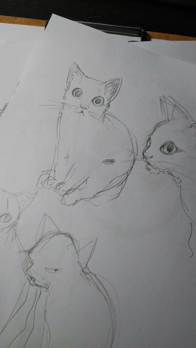 流星光 日本人の末裔 1 37 今日の活動終了 今日は背景を進めて 漫画のエピソードをカードに書いて順番を見当した 今日描いた絵 猫は要練習 マジで猫可愛く描けない