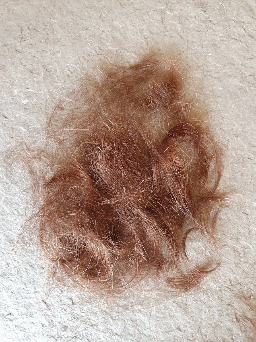 Teenagers are great. Youngest watched a "how to" YouTube video, then cut my hair. No fuss. All that time playing FIFA obviously developed the fine motor skills required for the job.