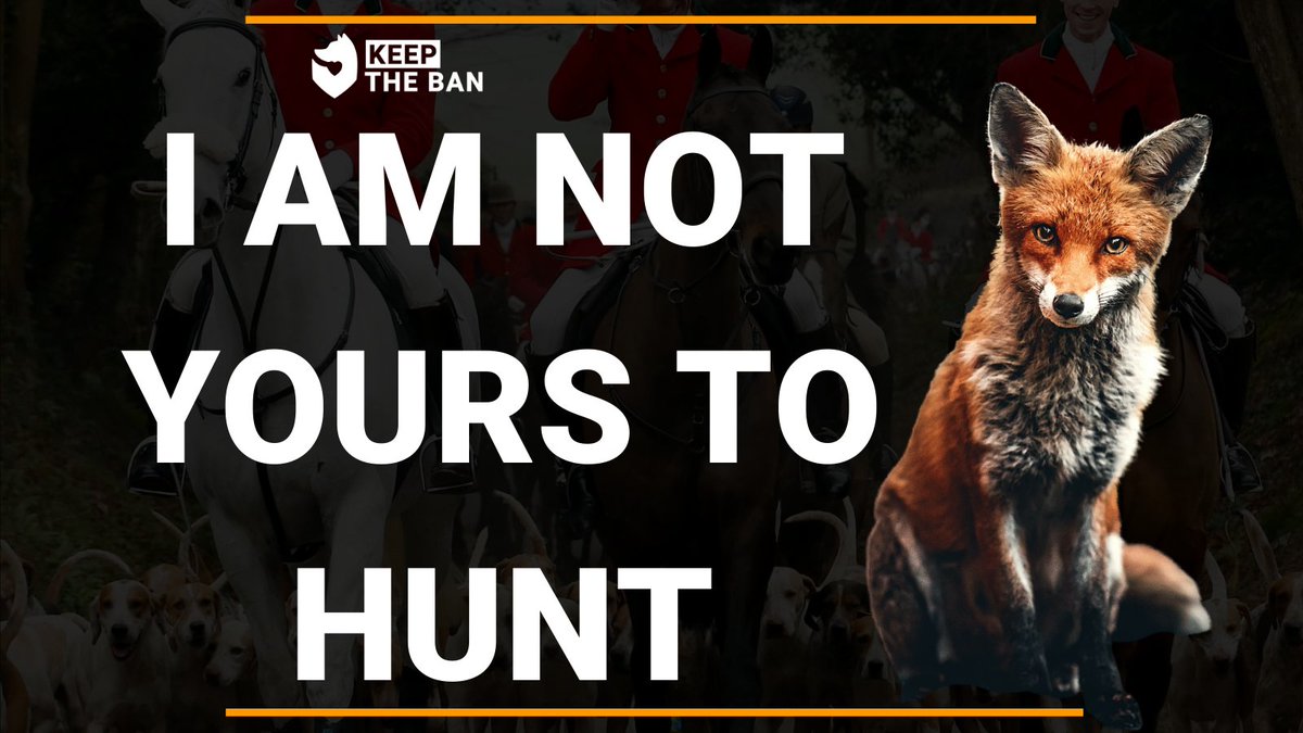 We will never stop until these animals are free from persecution. RT and follow us @Keeptheban_  if you're with us.