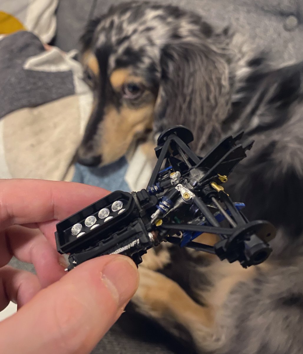 5/20 Rear Upright  Absolute loving it so far. Time consuming but rewarding. Frank isn’t so excited.