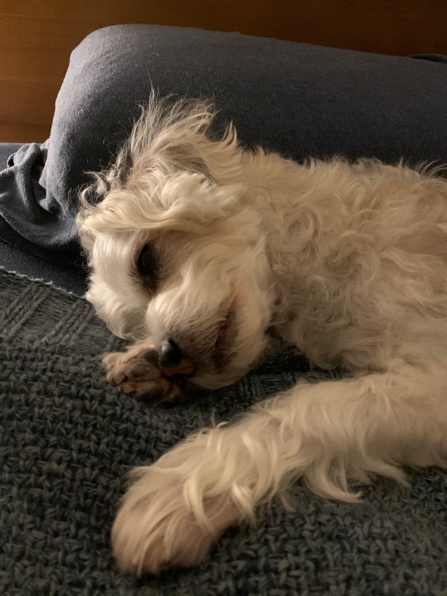 TRYING TO DO A SNOOZE HERE, DO YOU MIND?