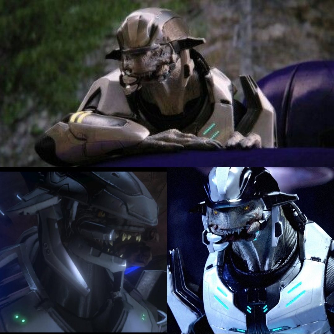Shipmaster Halio I'm certainly hoping Halo Infinite will explain to us what happened to ...