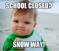 schick_pals's tweet photo. Schick Family: due to impending weather conditions Loyalsock Township school district will be closed Monday, February 1, 2021. Stay safe out there Schick Heroes! https://t.co/scMPwBYI4L