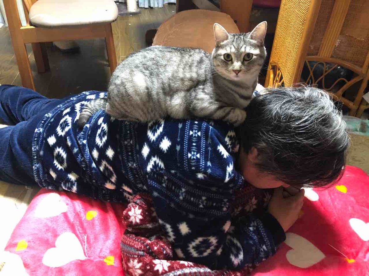 らいにゃ tweet media