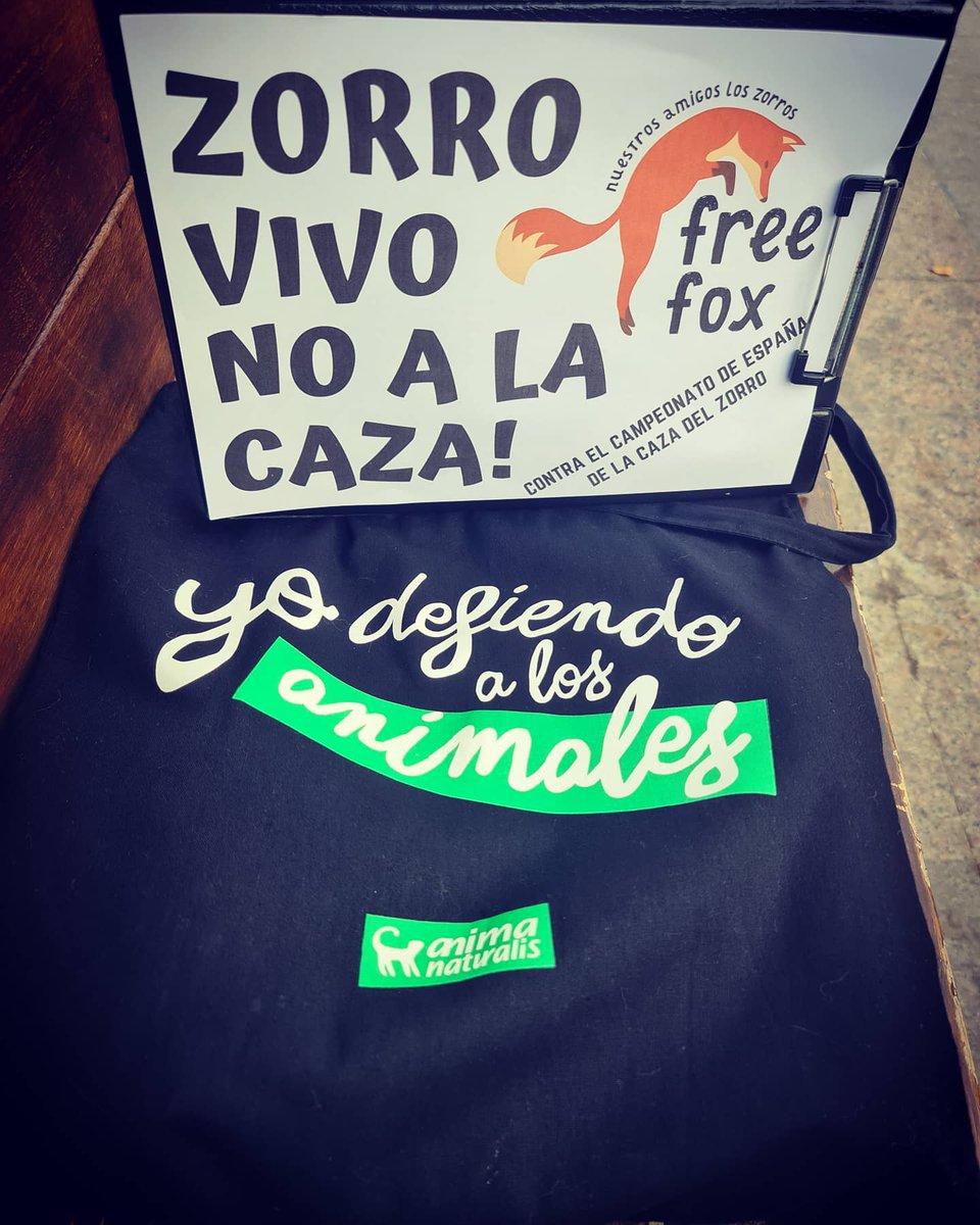 📣 Hoy hemos protestado en varias ciudades de España porque cada año se matan más de 250.000 zorros, perseguidos sin tregua a lo largo y ancho del país.
#TodosConElZorro 🇪🇸