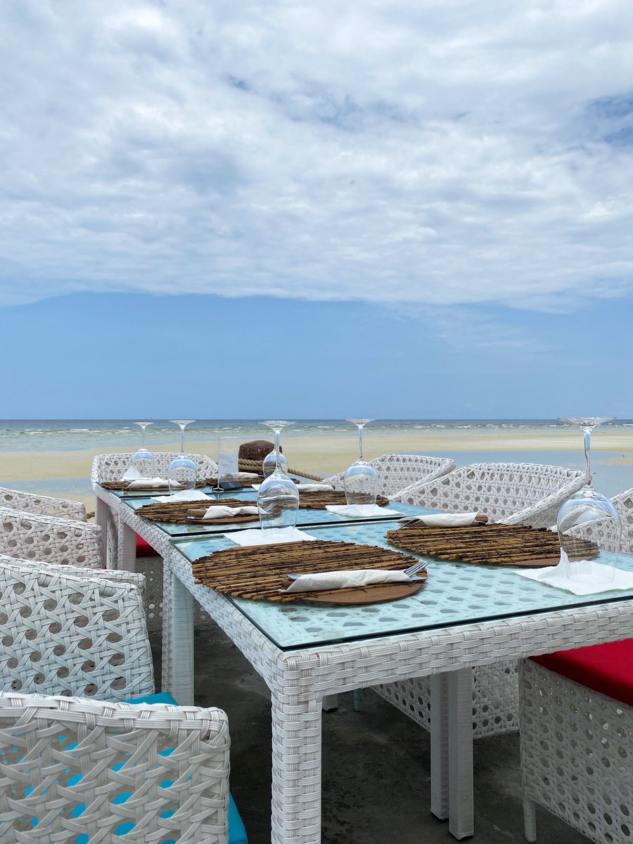 On finit le week-end avec des petites photos de nos terrasses....✨
Toujours agréable de manger avec une belle vue 🥰🤩🐚
Bon début de semaine à tous 🌞