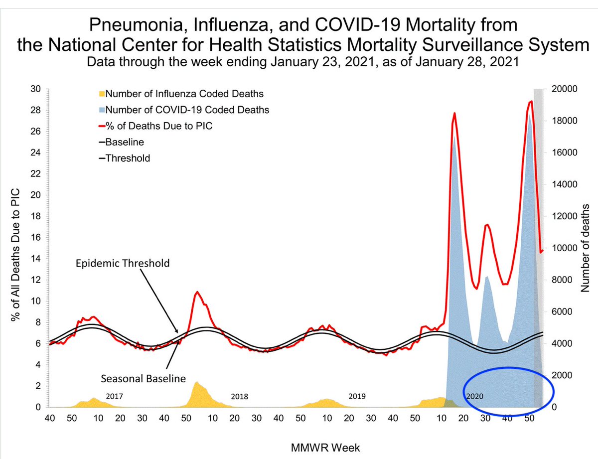 4. Adults aren't dying of  #flu this year either, though  #Covid19 deaths are more than making up for that. The yellow blips at the bottom of this chart are deaths coded for flu (which would be only a portion of total flu deaths). Nothing in 2020-21. But the Covid deaths....