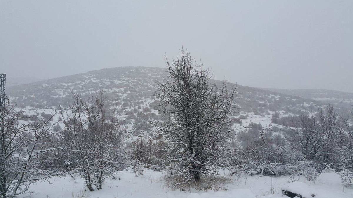 #yabandabizimvatandabizim
#avcısızvatanolmazvatansızavcıolmaz
#Dağlarbizimdir
#avcıyurdunuseverkorur
#suhayattır
#takyapar