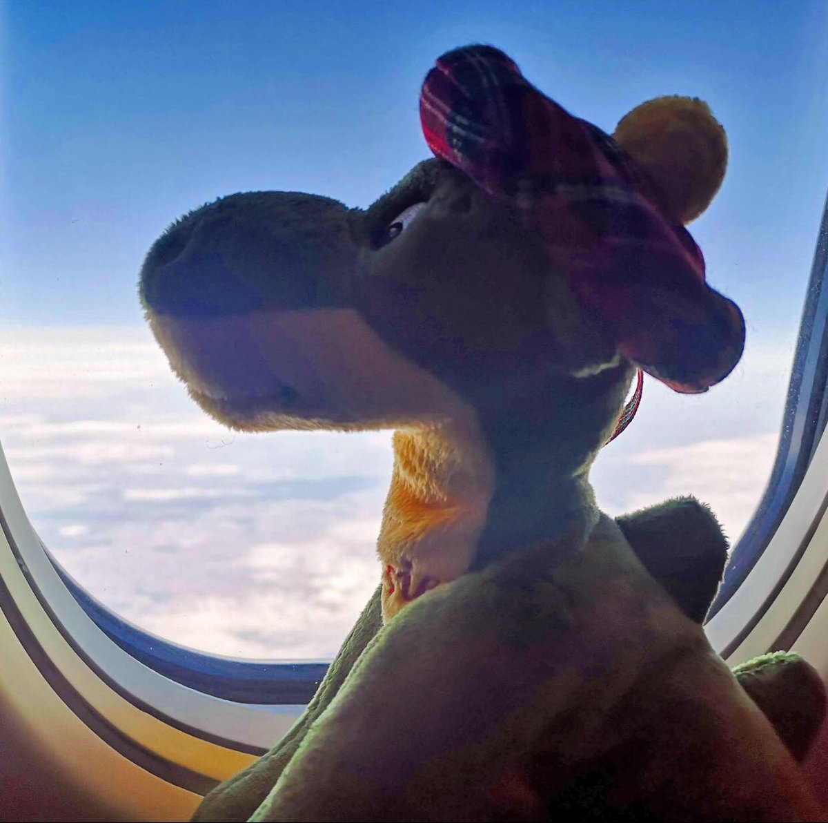 VdGM Edinburgh 2022 tweet media