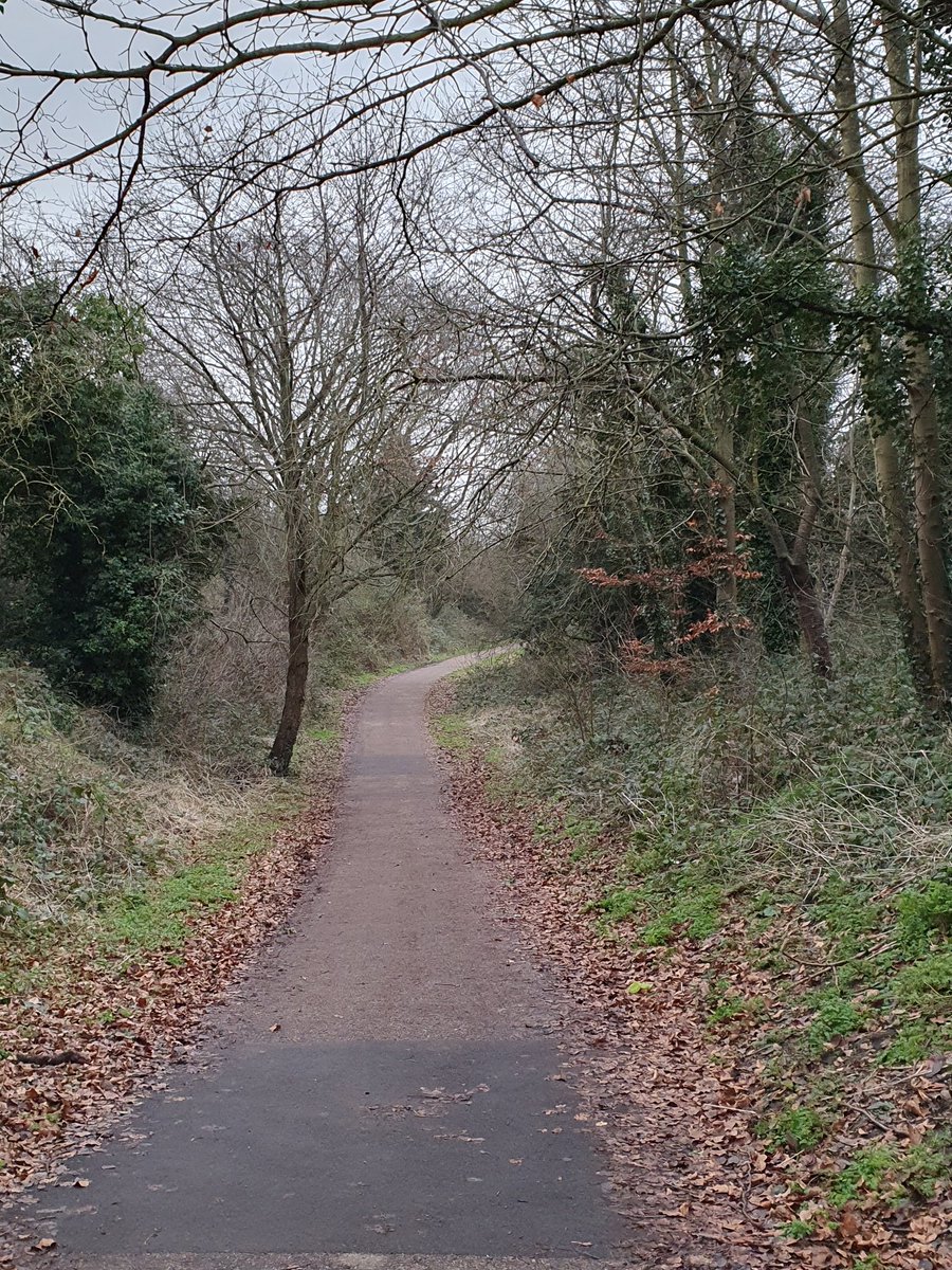 sportinherts's tweet photo. It's the last day of @REDJanuaryUK!

Enjoyed a lovely peaceful walk this afternoon, a great way to relax on a Sunday - Kelly

@sportinmind #REDJanuary2021 #MindActiveNetwork https://t.co/kylu7Gsaz3