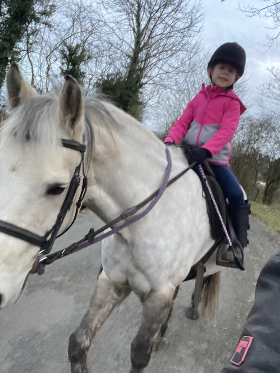 Phillips27Helen's tweet photo. @StJamesYear3 #WindywalkwithLexiandDaddy #hackonDexter #Miasweekend #followtheleaderwithMusty https://t.co/zDWrqgI3o8